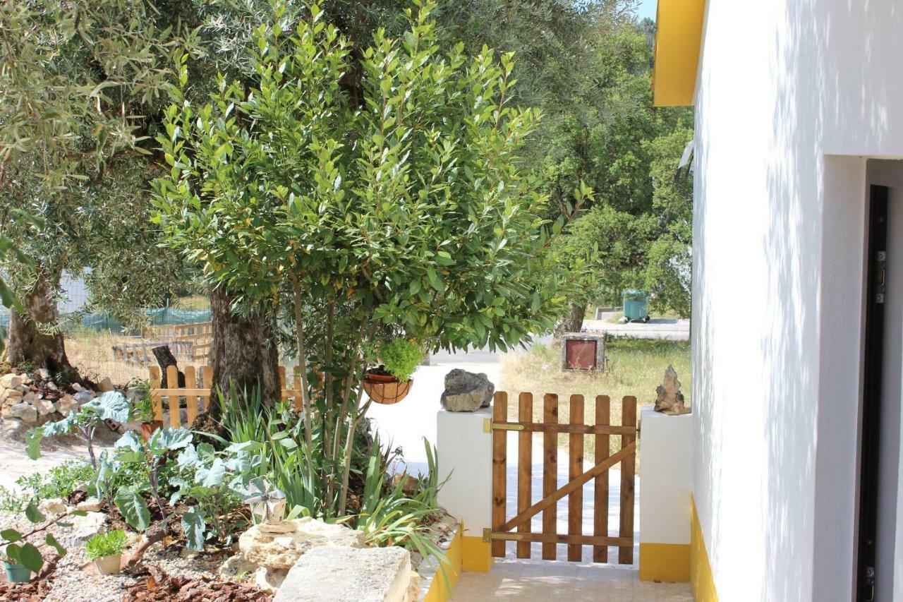 Turismo Rural Casa Da Ceu Amiais de Cima Exteriér fotografie